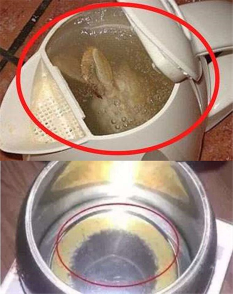 酒店的电热水壶太脏了怎么办,除了酒店的烧水壶还有哪些热水