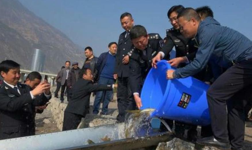 考事业编公务员哪些专业占优势,小白考事业编选哪个机构好些