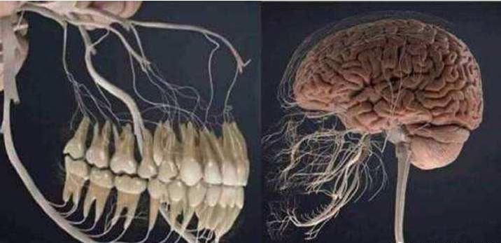 拔牙干槽症是阵痛还是一直痛,拔牙后干槽症是一直疼吗