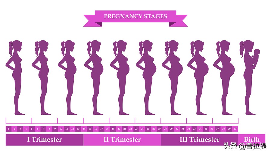 普拉提大器械孕产塑形,孕产普拉提训练