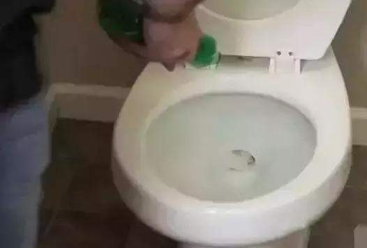 泥鳅疏通厕所靠谱吗,用泥鳅通厕所靠谱吗