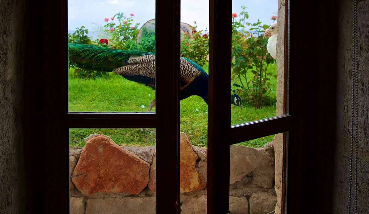 五星级酒店免费的东西,五星级酒店的超值服务
