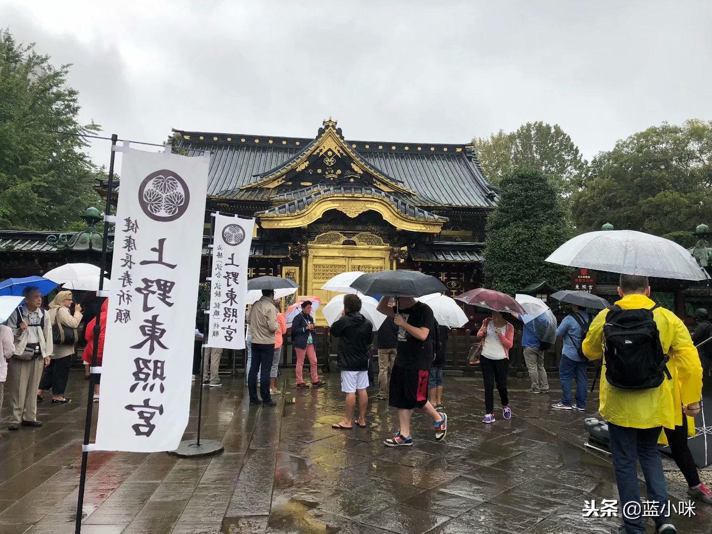 东京富士山镰仓一日游,东京旅游攻略镰仓一日游