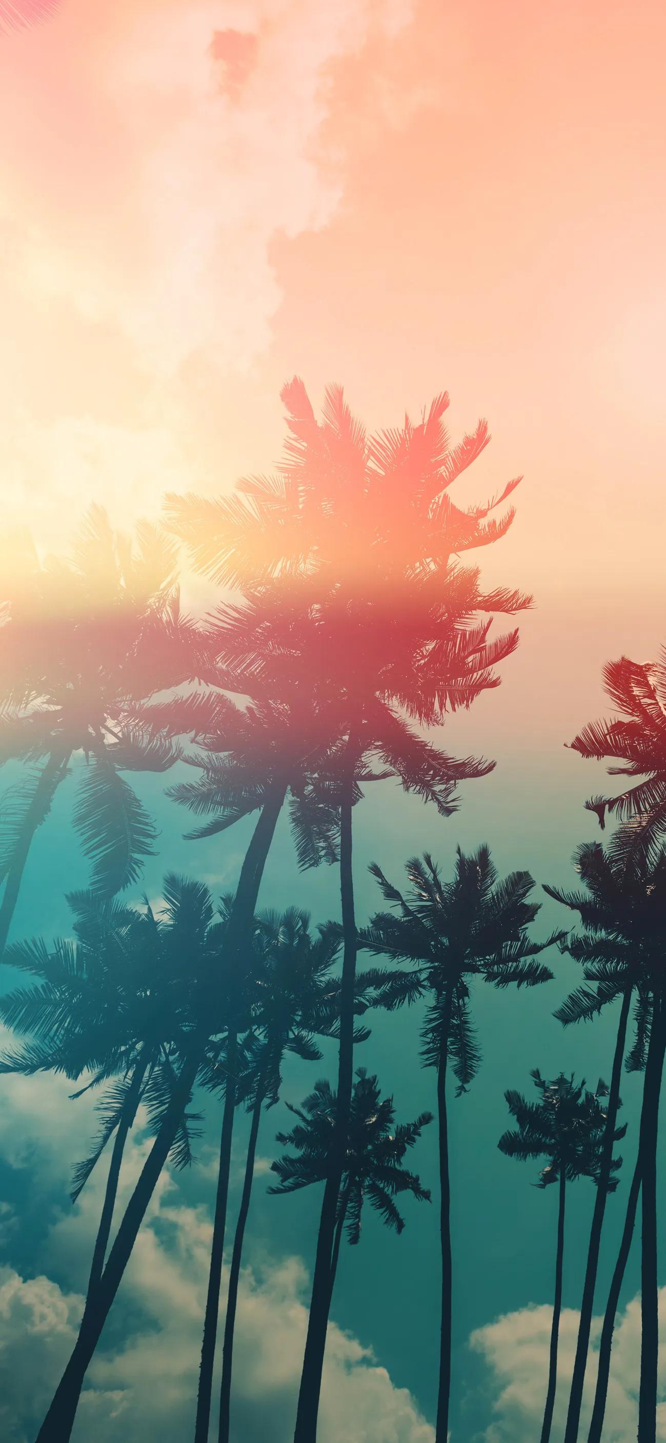 鍚勭濂界湅楂樻竻澹佺焊,绮剧編澹佺焊楂樻竻鍏ㄥ睆灞辨按