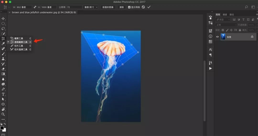 ps裁剪工具中的切片教学视频,ps裁剪切片工具