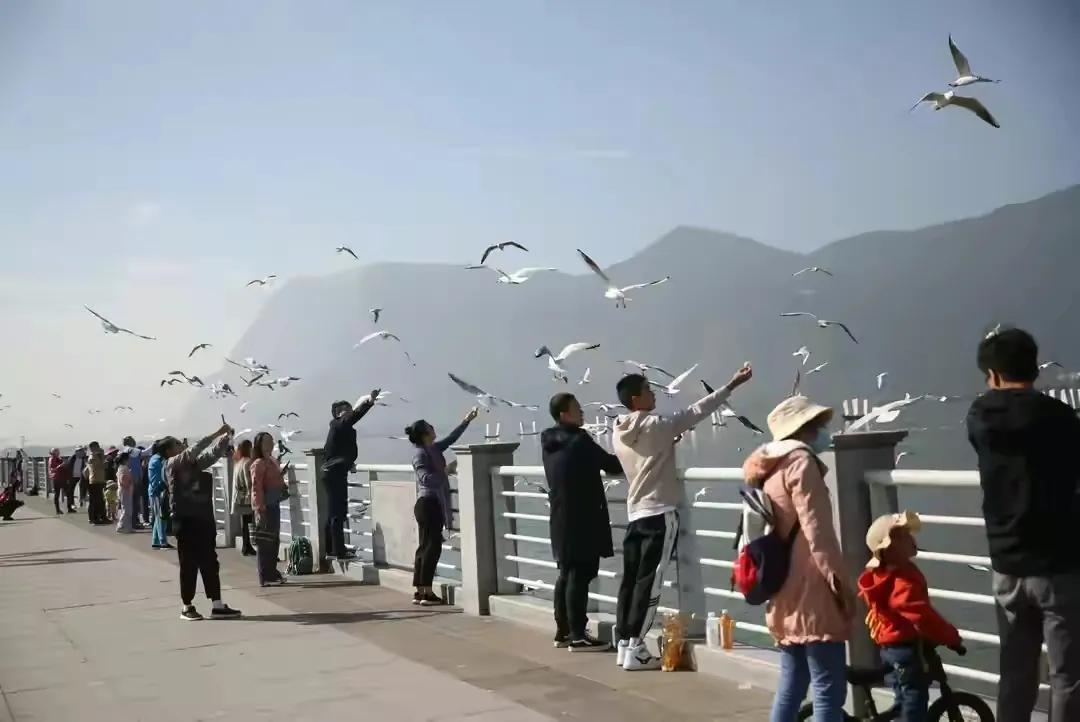 中国女足女超联赛赛程,2023年女足能闯进决赛吗