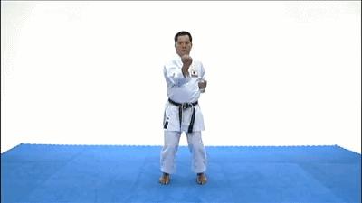 空手道基本功gif,空手道gif