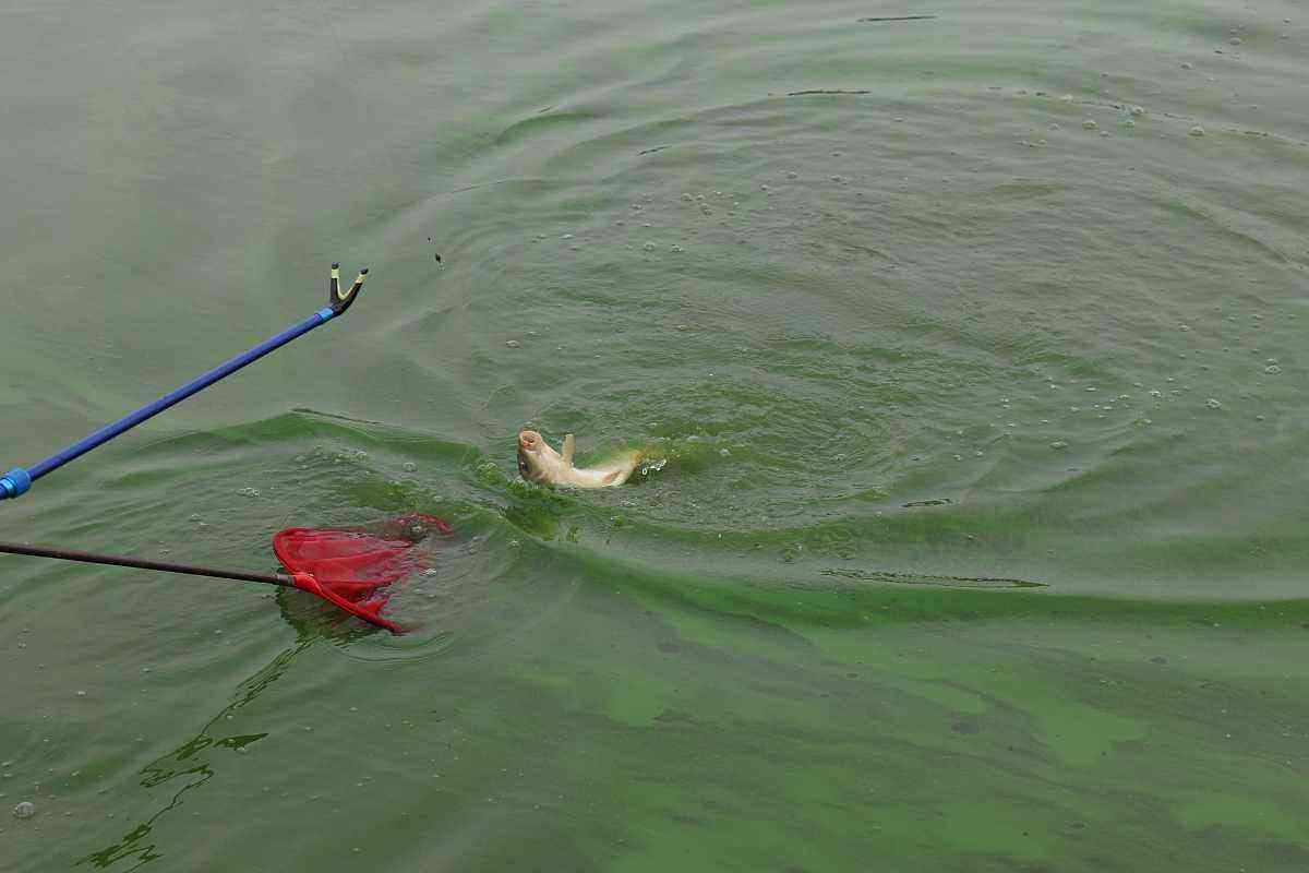 子线中间打结怎么保持长短一致,子线缠绕如何化解