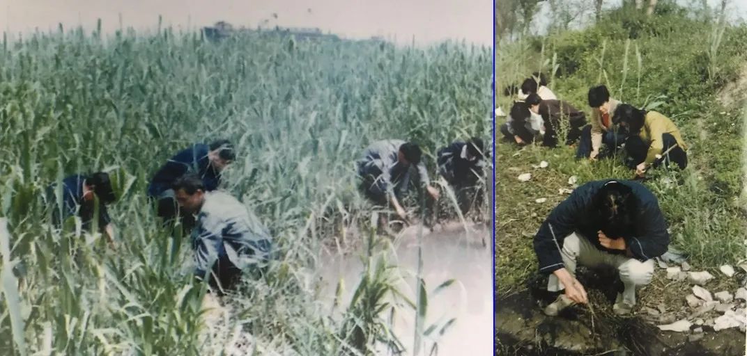 江阴疫情的来源和发展史,江阴疫情起源时间表图