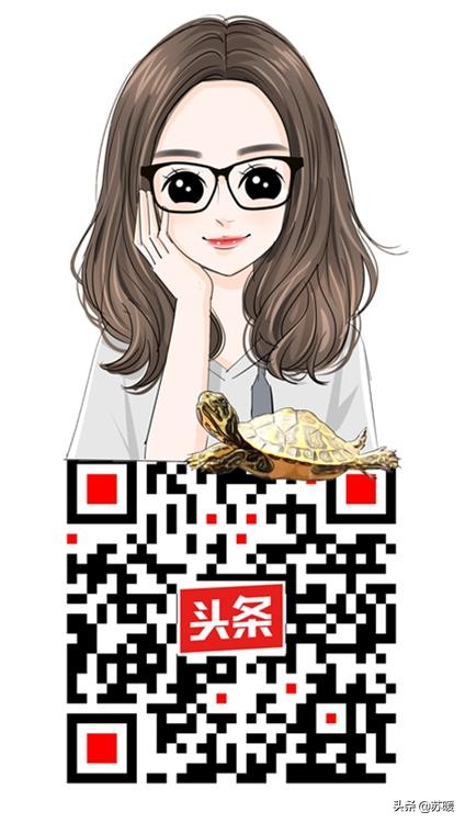 养巴西龟的十大小技巧,养乌龟新手入门巴西龟怎么选