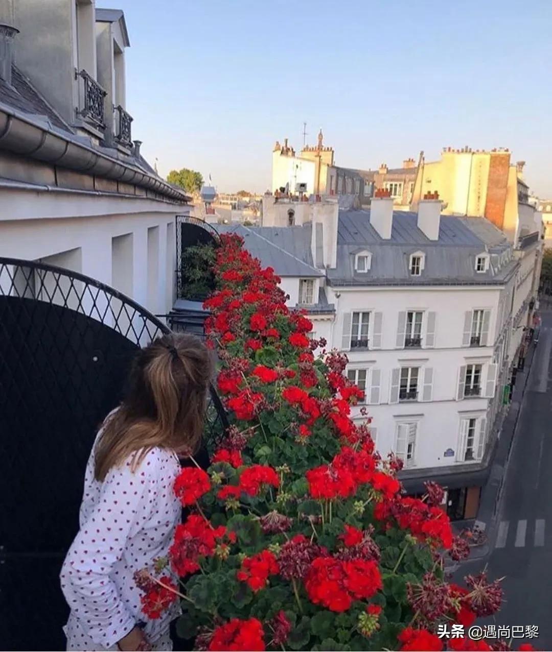 清凉夏日冰饮推荐,夏日专属葡萄冰饮盘点