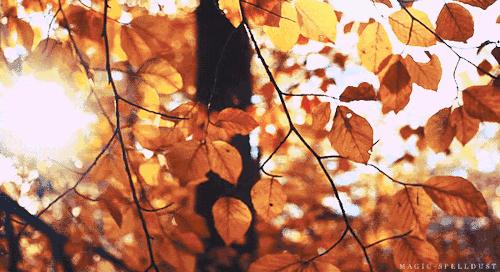 喀什便民信息服务站,喀什便民服务平台