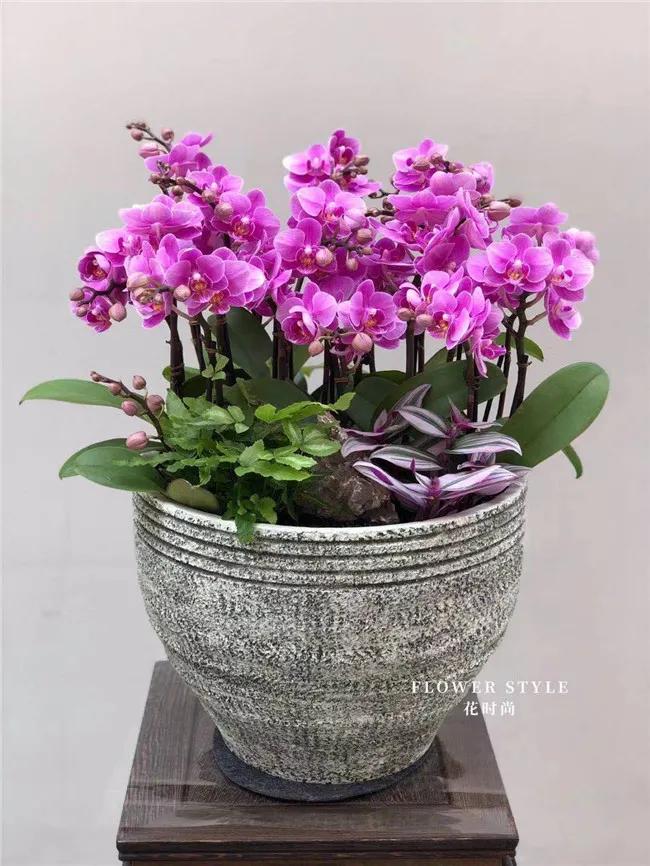 这家不足50㎡的花店，年营业额竟达300多万，被称“花痴”的他是怎么做到的？