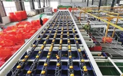 阿里产地仓模式升级农业供应链,阿里巴巴农产品直采基地