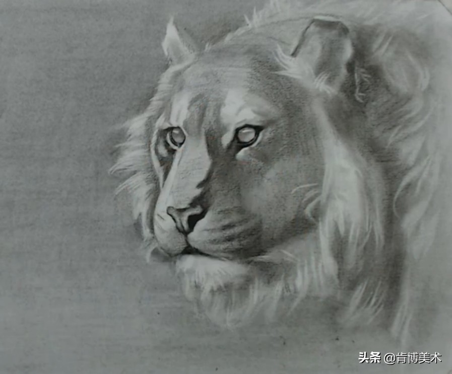 怎么画老虎素描新手,画素描老虎的步骤与方法