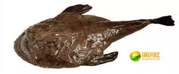 舟山4月份海鲜攻略,舟山海鲜代加工攻略