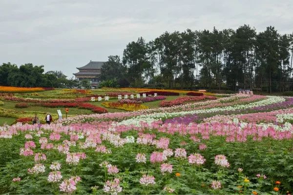 成都石象湖景区天气预报,成都石象湖的秋季