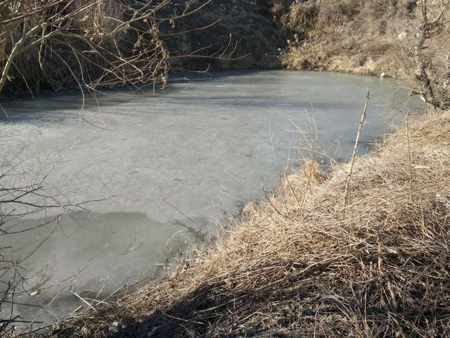 千年的鱼籽万年的草籽什么意思,千年草籽万年鱼籽是什么意思