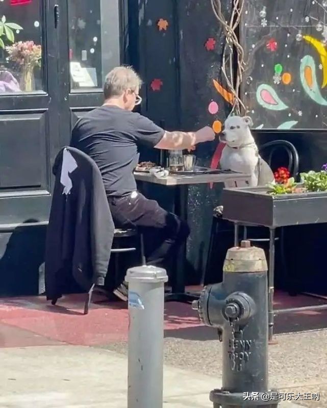 沙雕图片卖东西,沙雕图片买东西