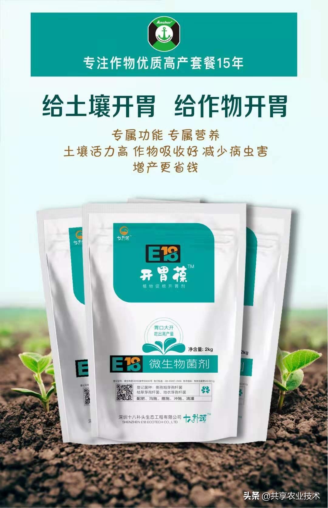 河北行唐：大姜地被淹，如何处理？