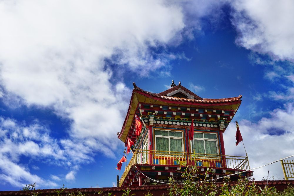 索尼a6000可以录像吗,索尼6000有自动跟焦吗