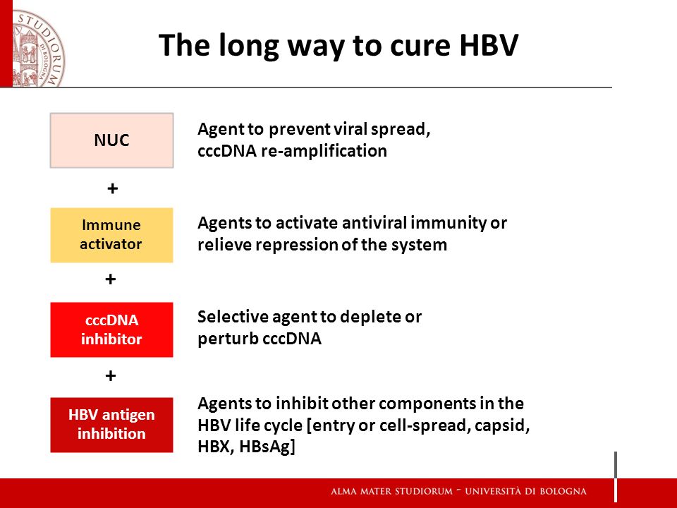 乙肝抗病毒药如何选择,乙肝抗病毒药怎么选择
