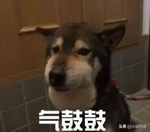 贷款买豪车竟变成融资租赁,贷款买车变成融资租赁案例