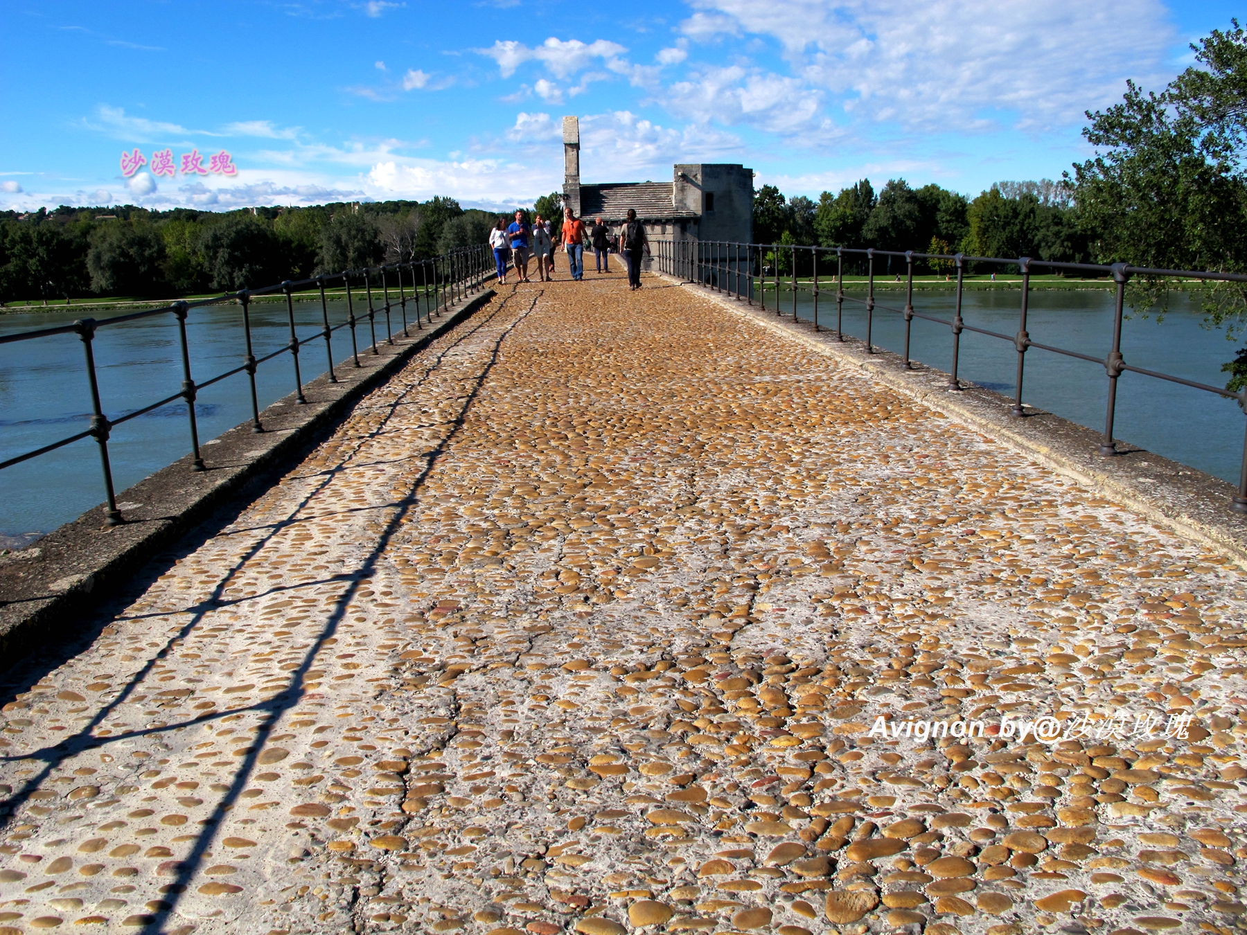 普罗旺斯有浪漫的薰衣草,普罗旺斯未开的熏衣草