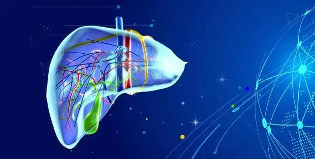 肝有点异常要注意什么,肝有点硬怎么治