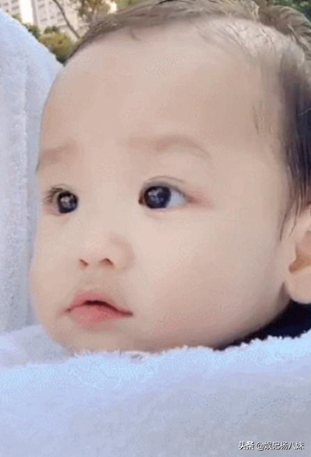 tvb男星大全,tvb目前当红男明星