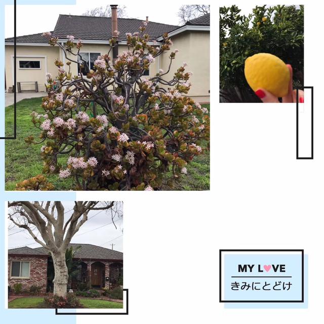 -30°C—25°C的春节环球商业之旅---美国浅说