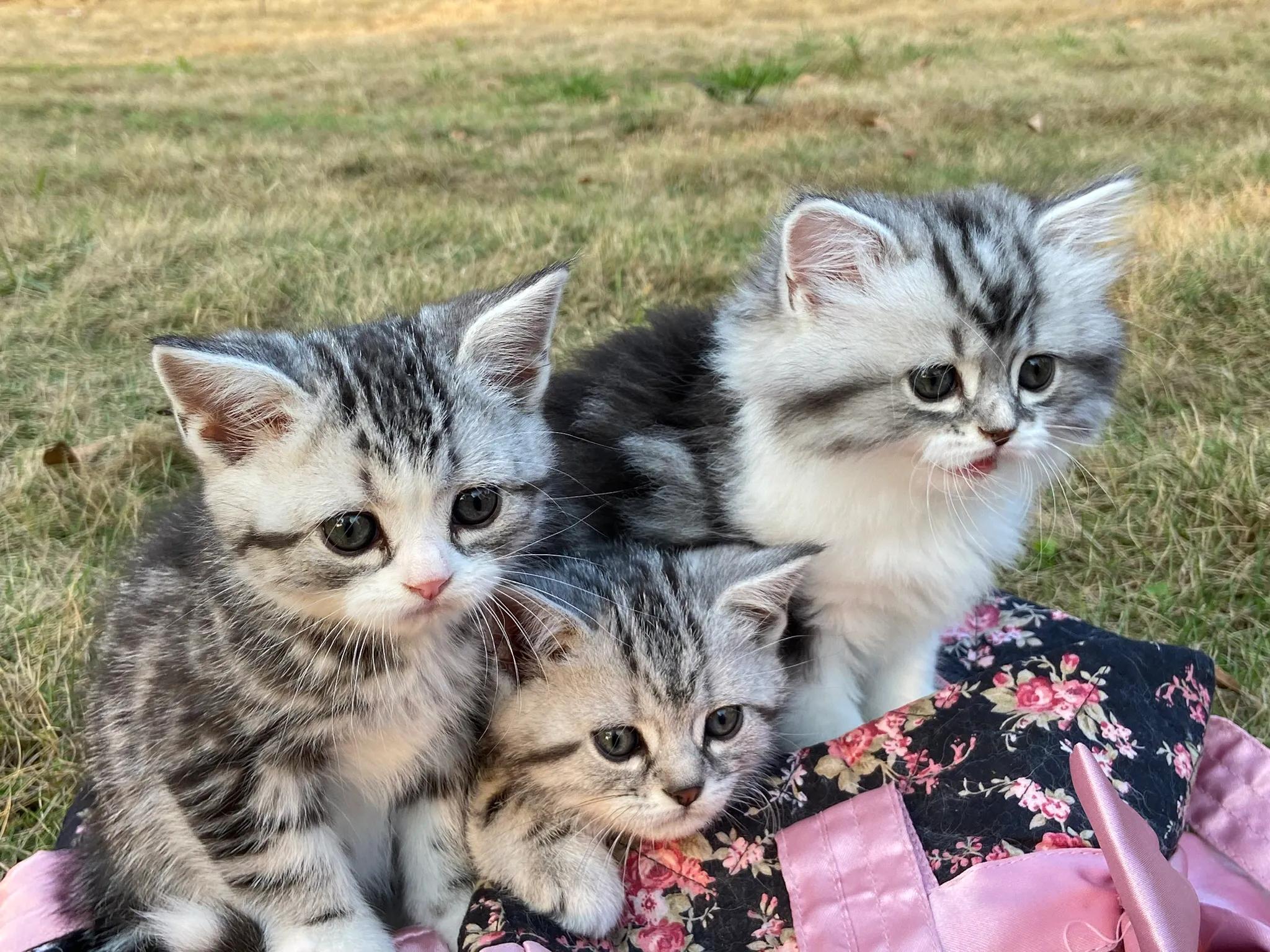 明天我的小屁屁要去深圳了