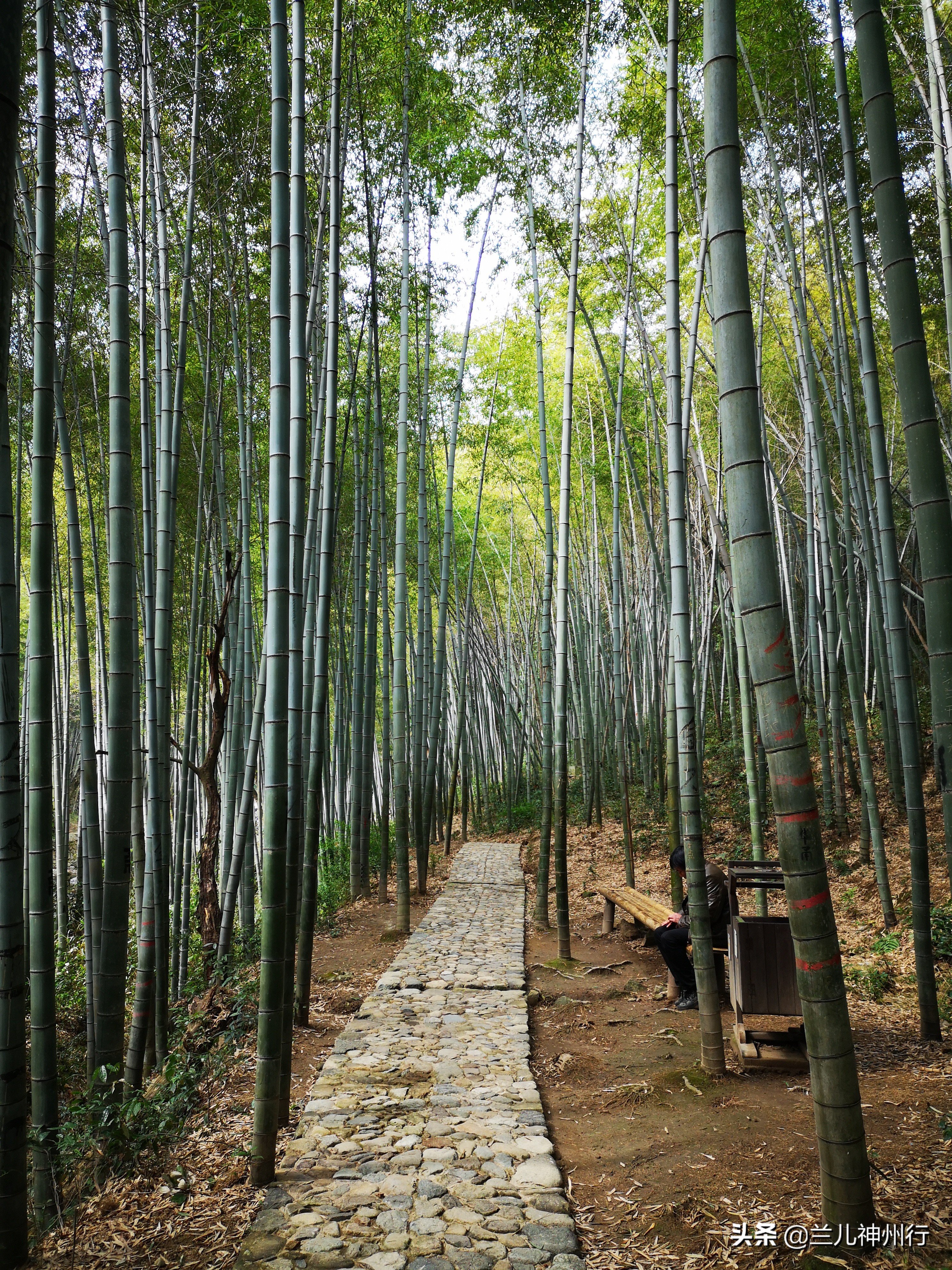 浙东小九寨周边有什么风景区吗,浙东小九寨自驾