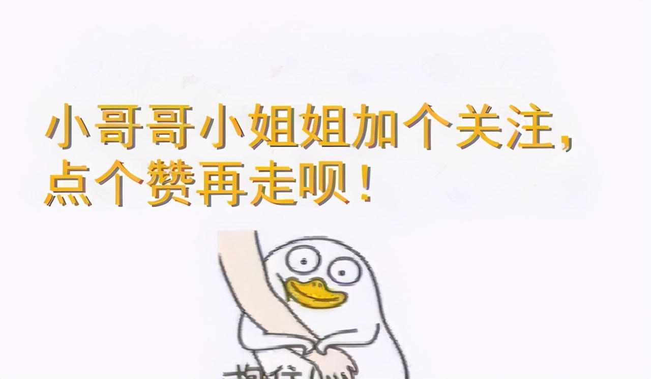 猫咪放屁臭搞笑,小小的猫咪放屁怎么那么臭啊