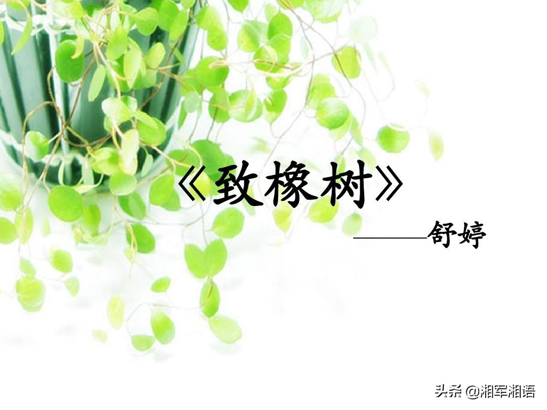 三棵树三生石,三棵树三生石系列