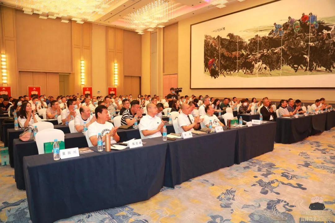 黑格咨询成功案例,黑格咨询中天