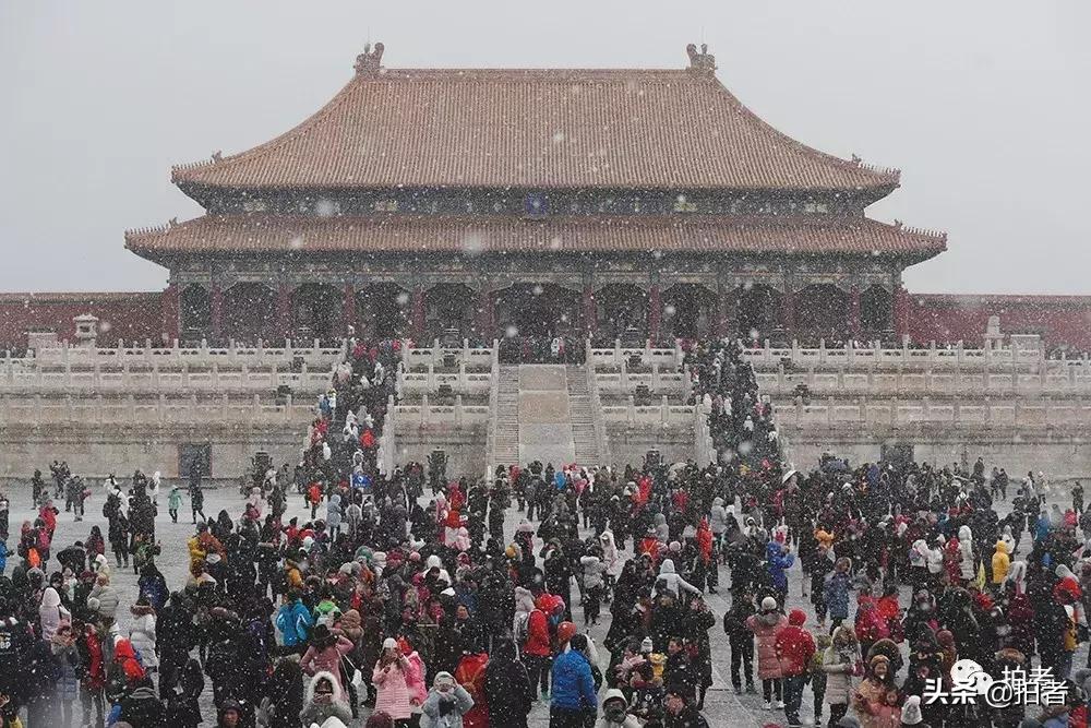 北京迎初雪9只熊猫,北京喜迎初雪去北京动物园看熊猫