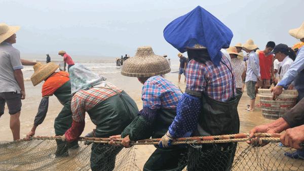 吴阳海鲜直播,吴阳金海岸出海直播