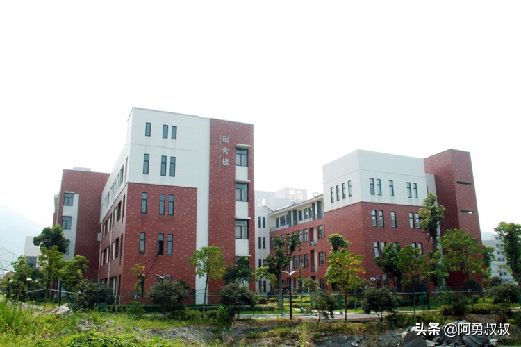 温州经验分享怎么找,温州经验分享技巧