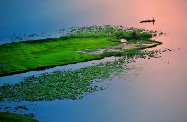 什么是云南品种,什么是云南的特色