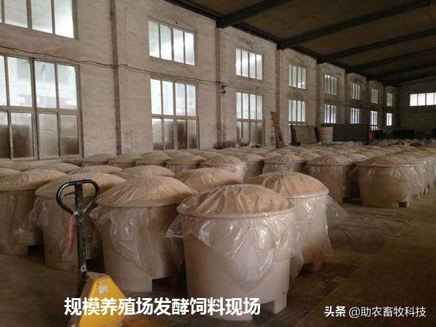 江苏养猪饲料如何降低成本,如何降低养猪的饲料成本