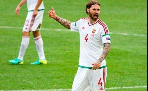 鲁能对卡达尔最新消息,鲁能签第五外援