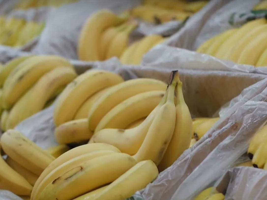 柬埔寨香蕉本月试出口中国,中国不再从越南进口水果了吗