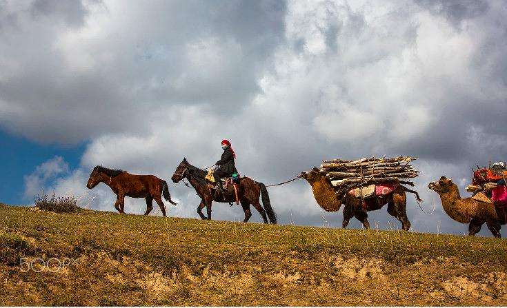 为什么当时匈奴人的势力这么强大,匈奴人的强大到了什么程度呢
