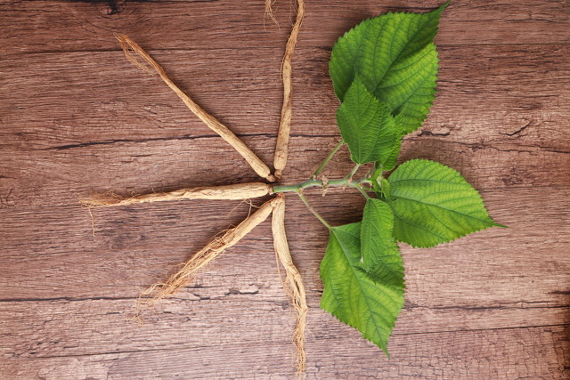 白术神曲党参功效,人参党参黄芪熟地山药的功效