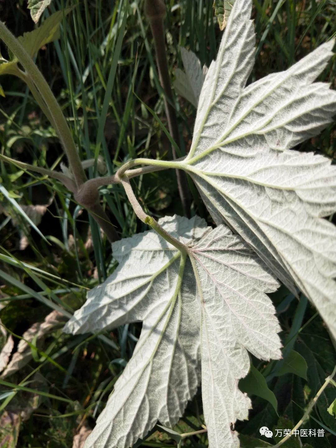 跟我回家在线免费看,跟我回家免费看