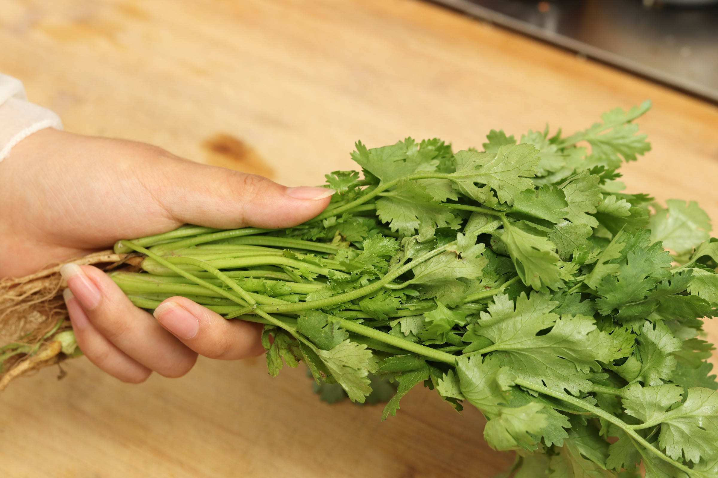 吃不完的香菜怎么保存,吃不完的香菜怎样再栽培