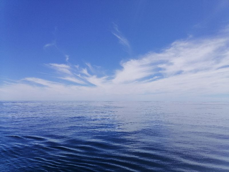 海员涨薪文件,船员提职推荐信范文