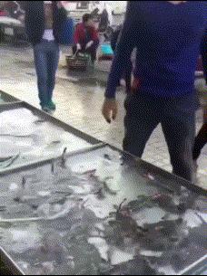 把车标全部抠掉违法吗,把车标抠下来清灰