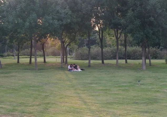 顺义适合露营的郊野公园,你自己知道就行